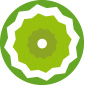 alveolar